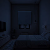 Cortina Roller Duo Dia y Noche Con Cenefa PVC - GRIS