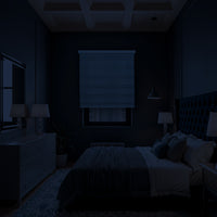 Cortina Roller Duo Blackout 80% Día Y Noche - Gris Claro